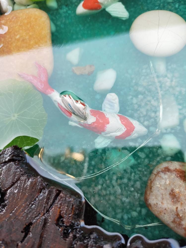 Koifish in resin, gift for friend, Aquarium Look 3D fish pond, Housewarming gift resinwoodliving