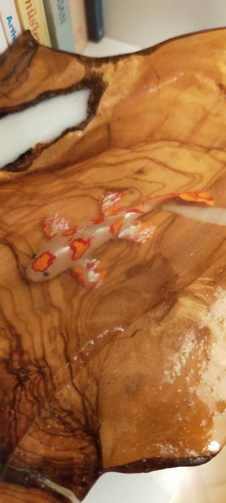 Koifish in resin, gift for friend, Aquarium Look 3D fish pond, Housewarming gift resinwoodliving